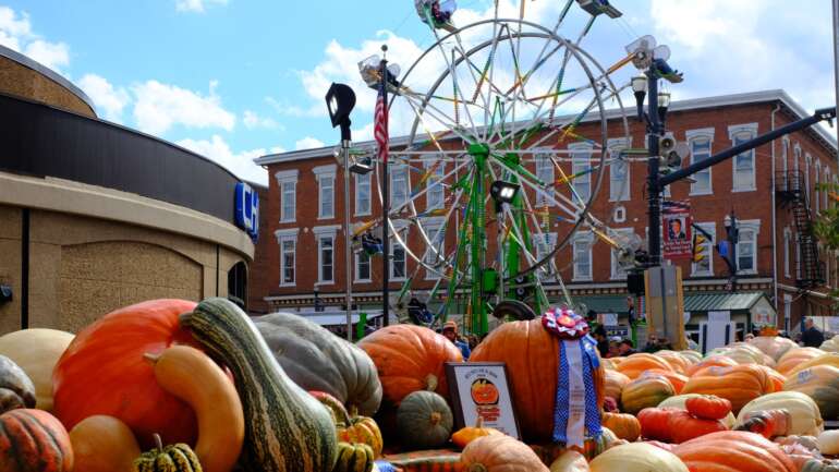 Prize pumpkins on a table in front of the Ferris wheel at the Circleville Pumpkin Show