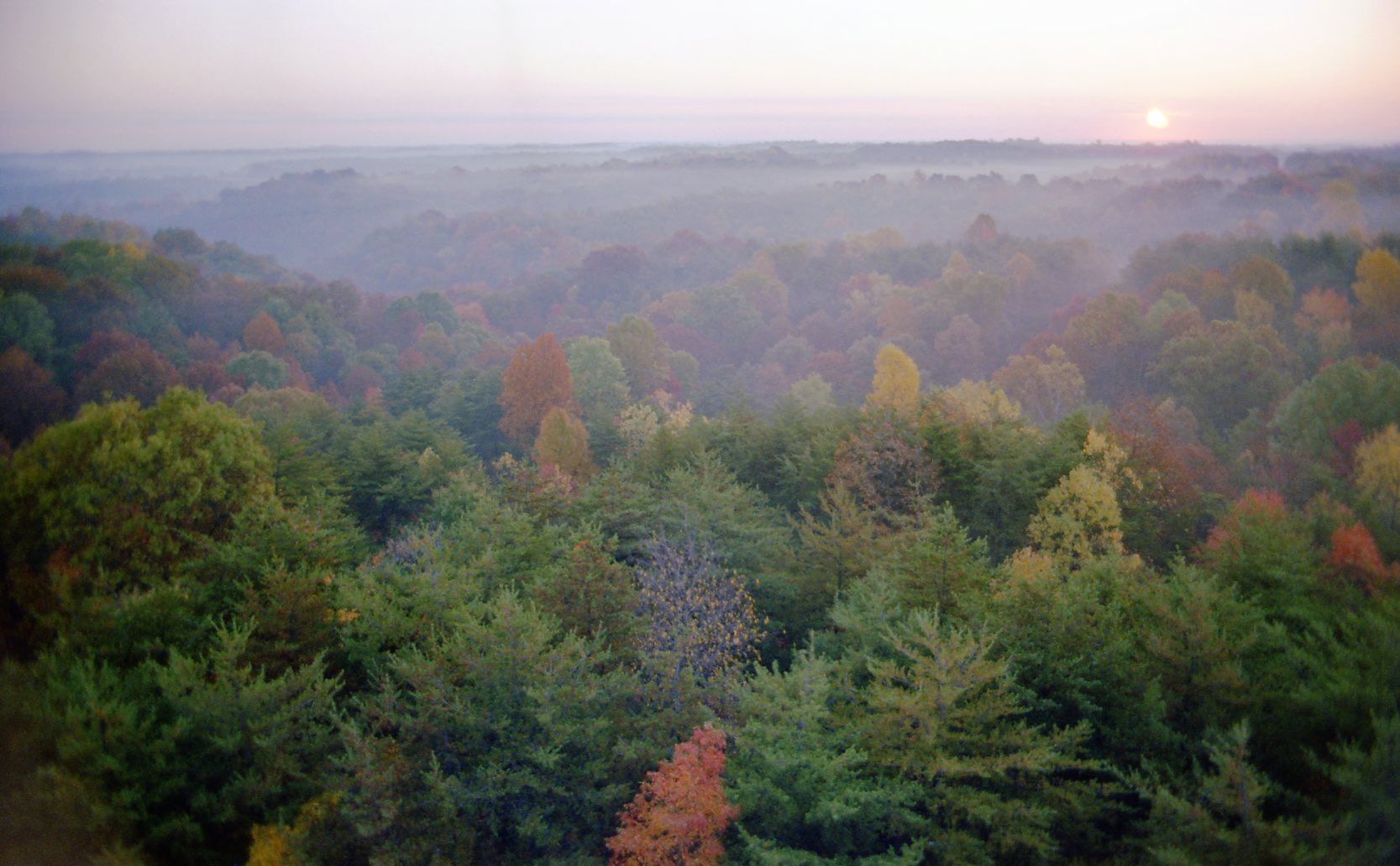 Fall color across the treetops near Conkles Hollow in Hocking Hills at sunrise, photographed in October 1975