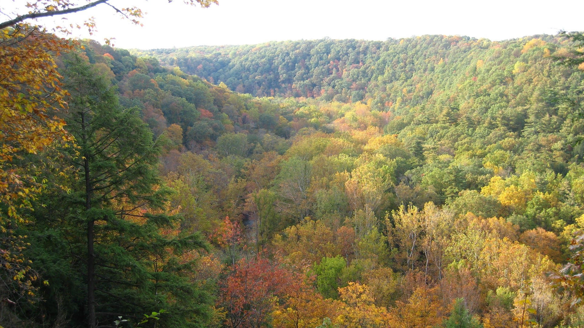 Fall color filling the Clear Fork Gorge at Mohican State Park, seen from the Gorge Overlook