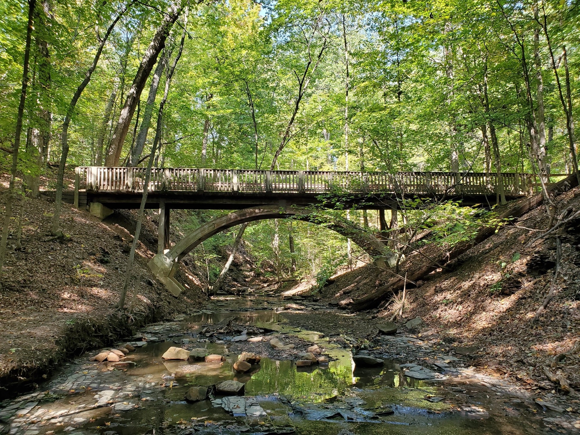 Wooden arch bridge over a ravine at Highbanks Metro Park