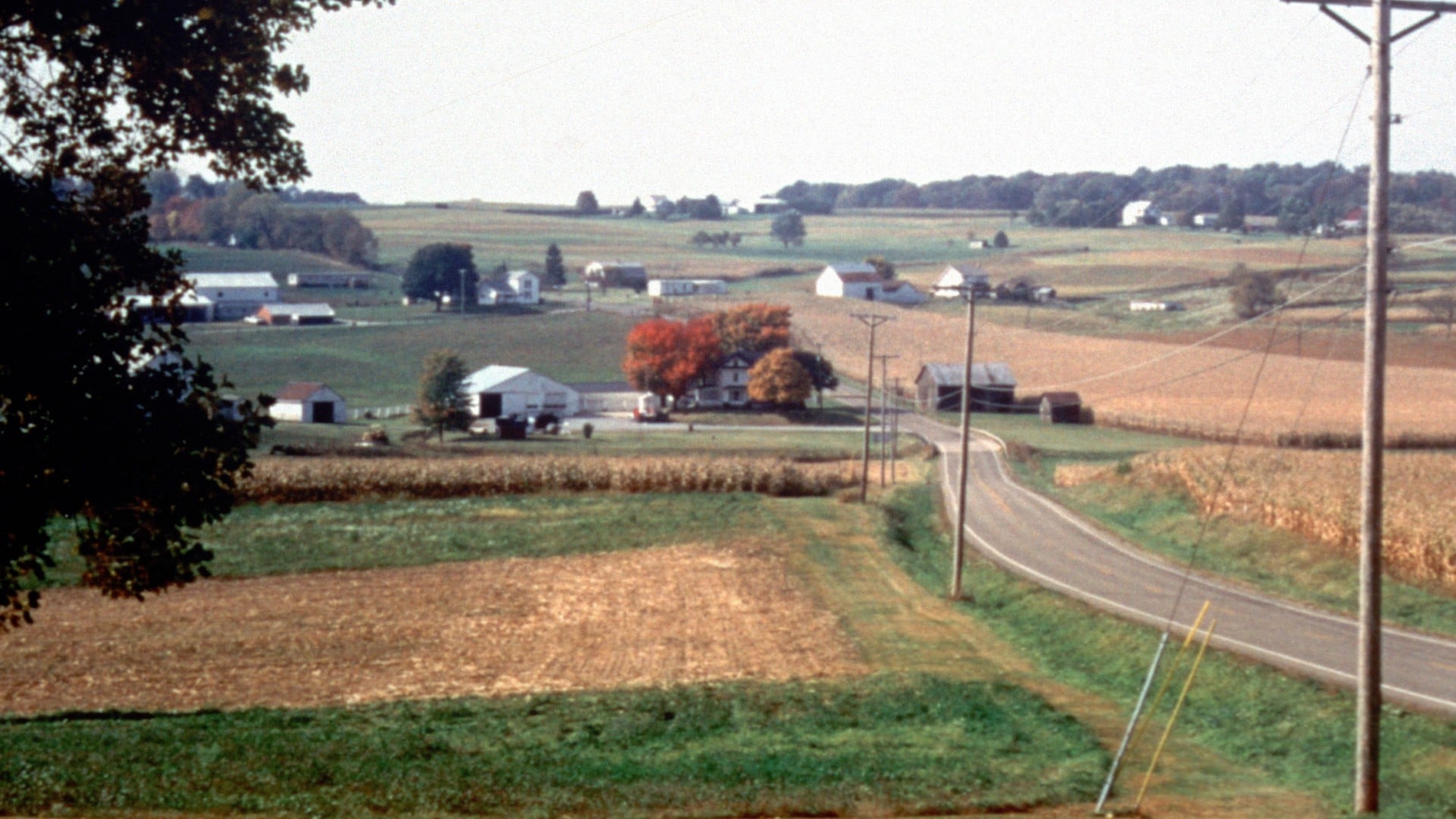 The 8 Best Places In Ohio To See Fall Foliage 4 Two-lane road curving past harvested fields and white farmsteads in Holmes County Amish Country