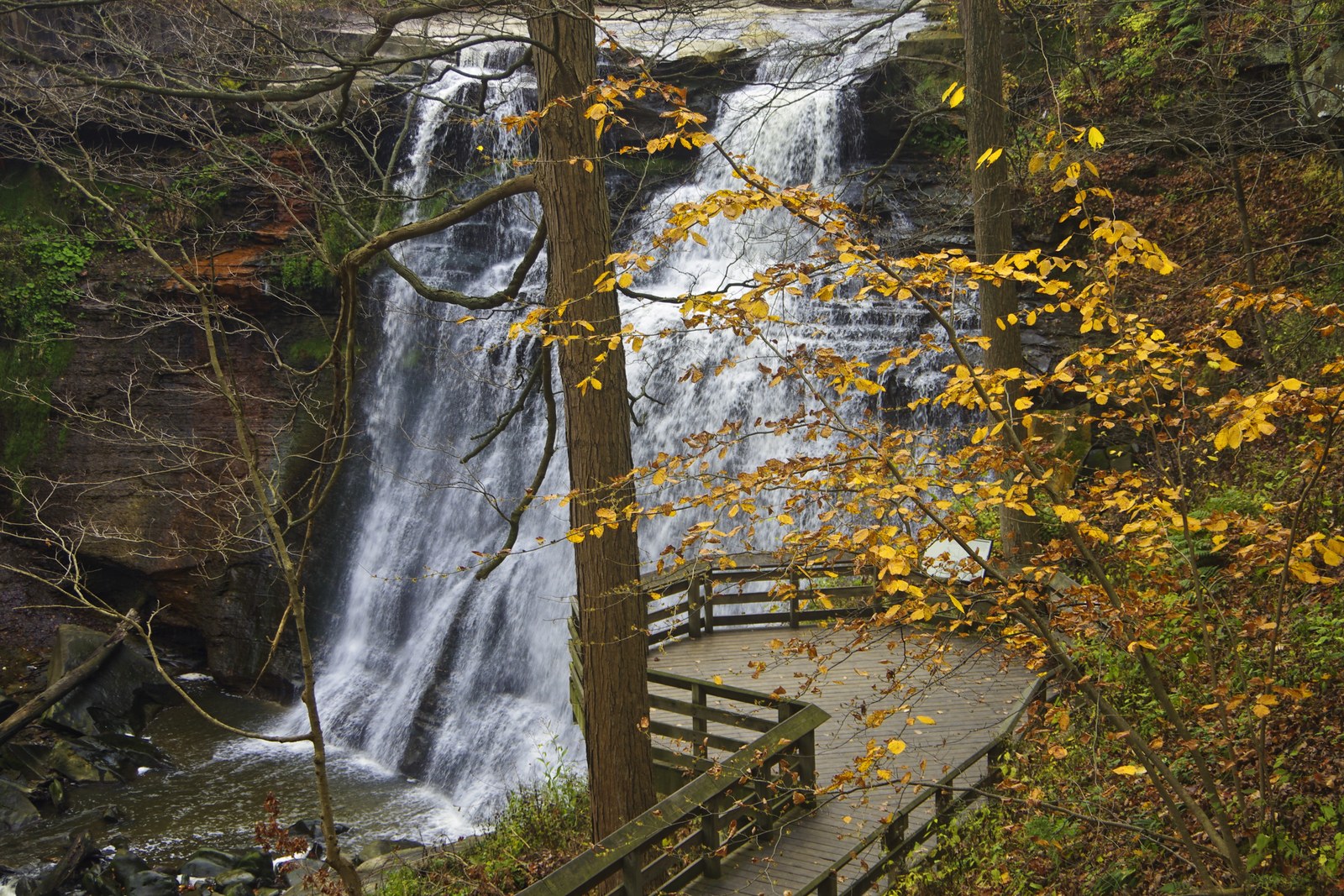 Cuyahoga Valley National Park Belongs On Your Fall Bucket List 1 Brandywine Falls pours over layered rock ledges beside a wooden boardwalk viewing deck, framed by yellow fall leaves.