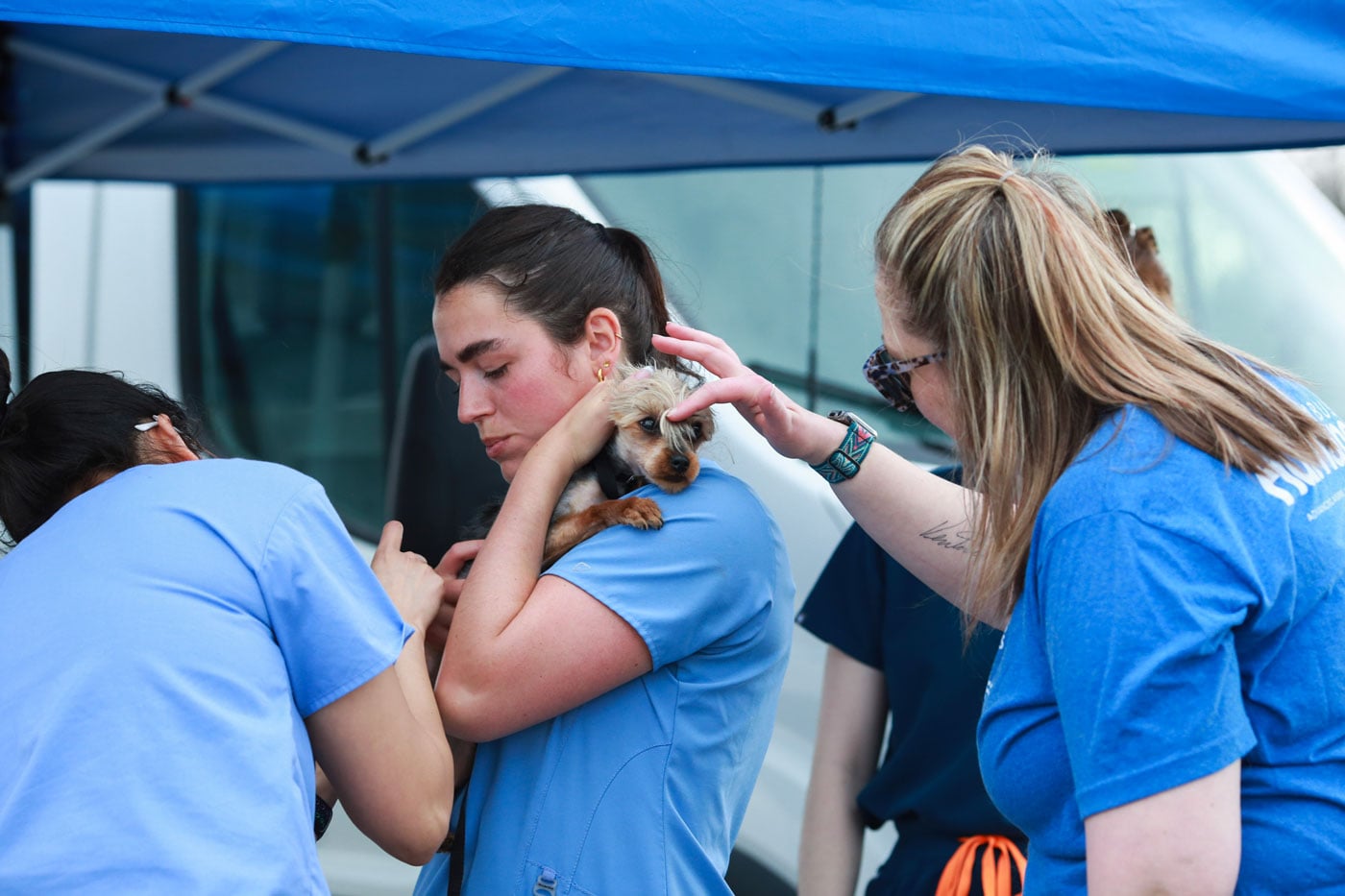Need Vaccines For Your Dog Or Cat? This Free Clinic Returns Next Week 1 person holding small dog for vaccinations