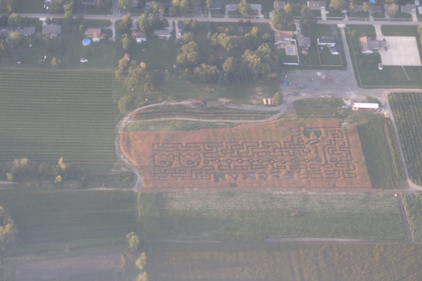 Aerial view of a Pac-Man corn maze cut into a cornfield