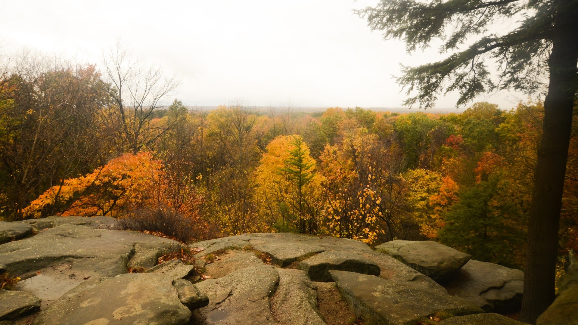 The 8 Best Places In Ohio To See Fall Foliage 2 Fall color seen from the sandstone Ledges overlook in Cuyahoga Valley National Park