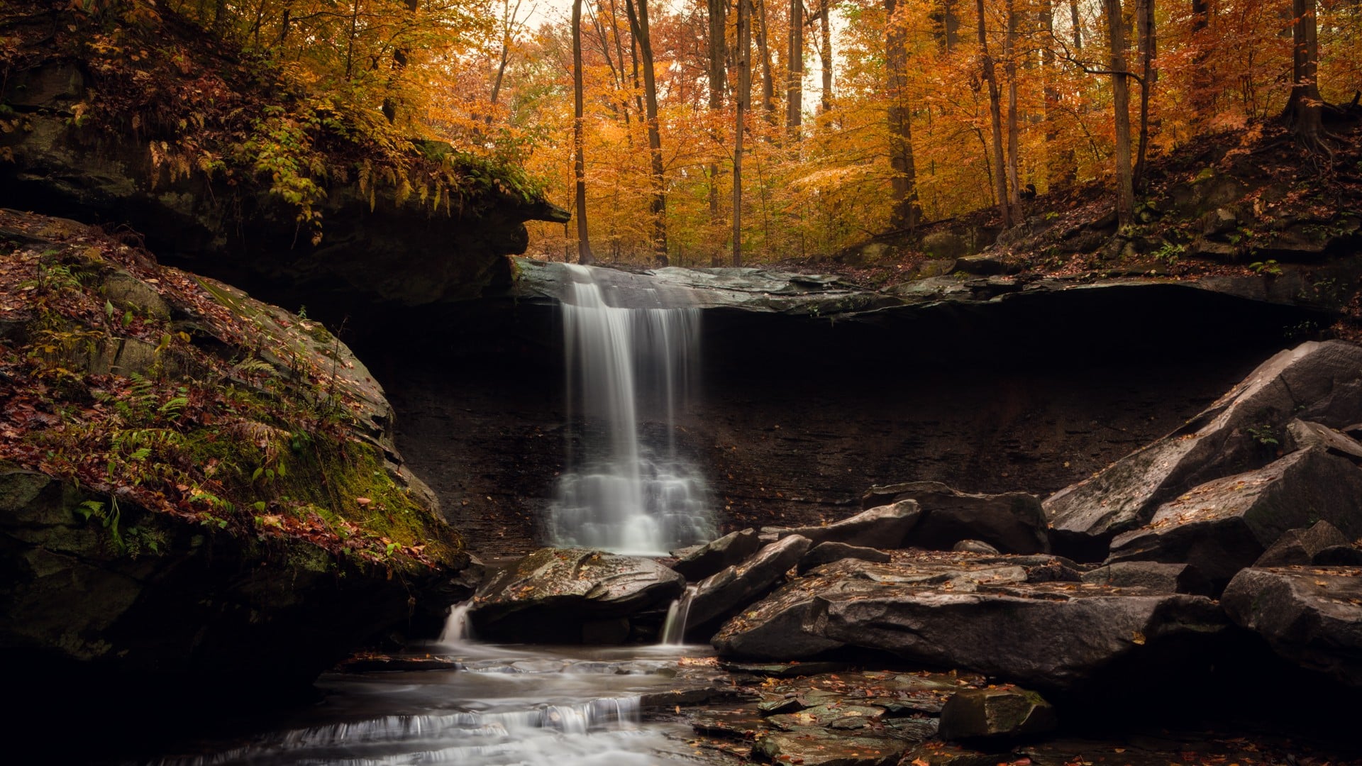 Blue Hen Falls pouring over a shale ledge under orange and gold fall leaves in Cuyahoga Valley National Park
