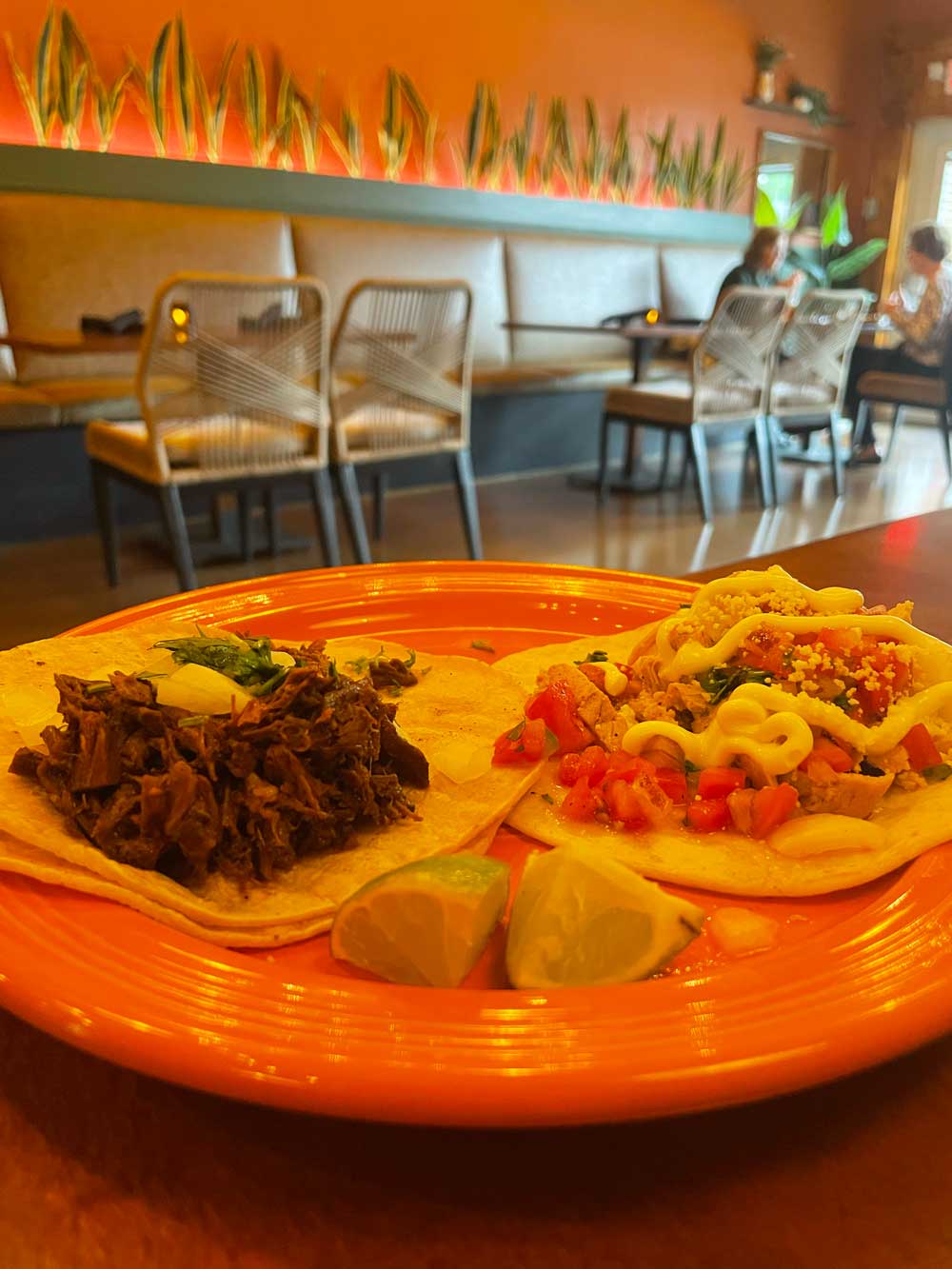Ochoa Mexican Grill Brings Tacos And Cocktails To East Main Street 3 ochoa mexican grill 11