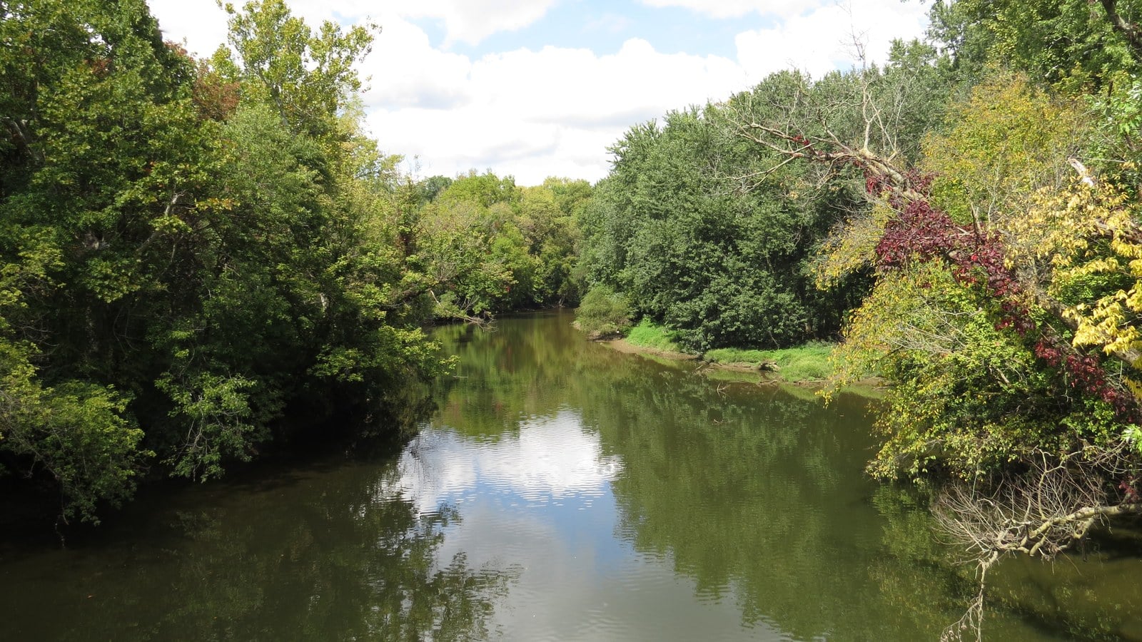 A creek between wooded banks at Three Creeks Park, with the first red and yellow leaves of fall
